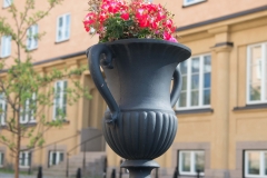 blomkruka